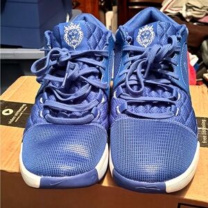 Men's size 13 Nike LeBron 8 witness TB Royal blue and white basketball shoes!